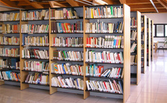 Biblioteca foto.jpg
